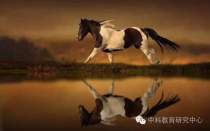 我的世界怎么驯服马手机版_我的世界驯服马手游_下载马的世界