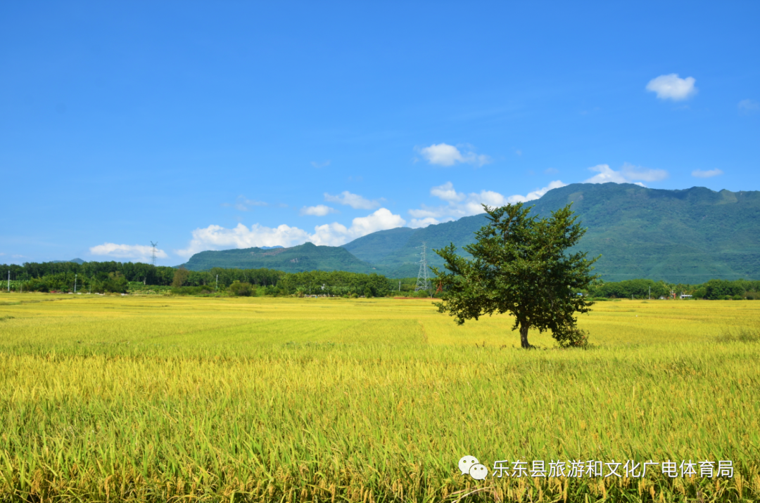 天穗的稻田姬_天穗的稻田姬_天穗的稻田姬