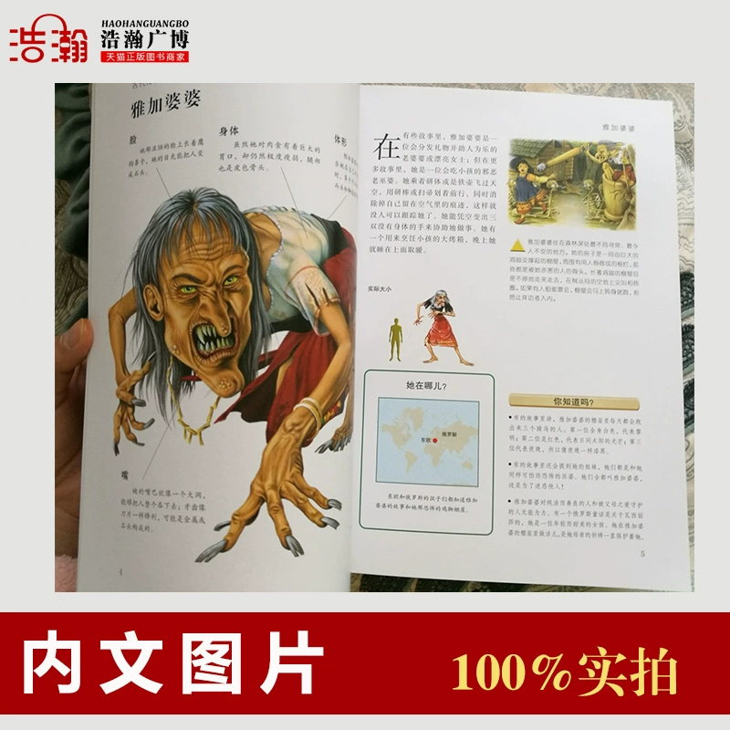 比利时是哪个国家_比利比利_比利时