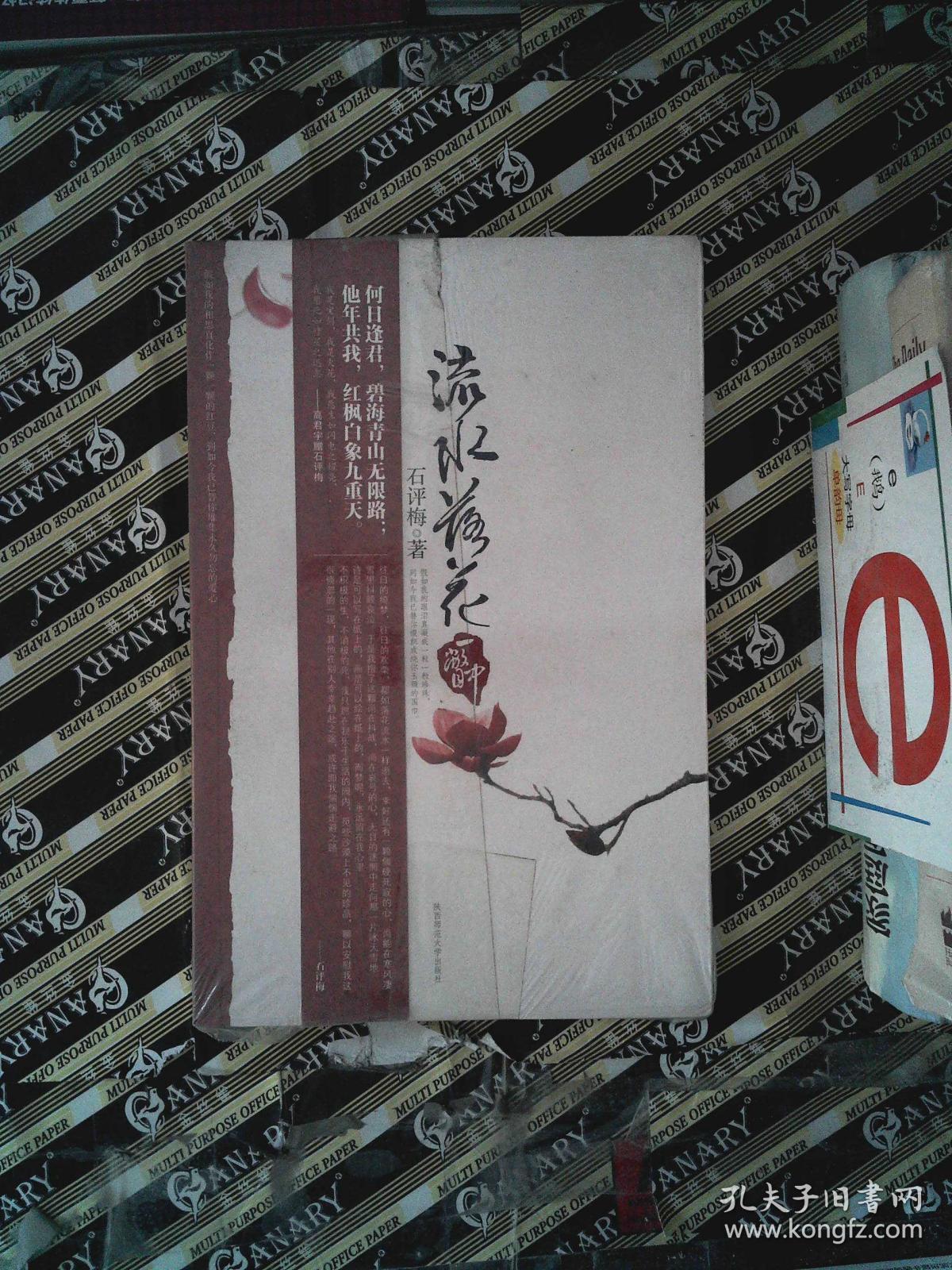 无敌版手机游戏软件_手机无敌版游戏_无敌版手机游戏大全