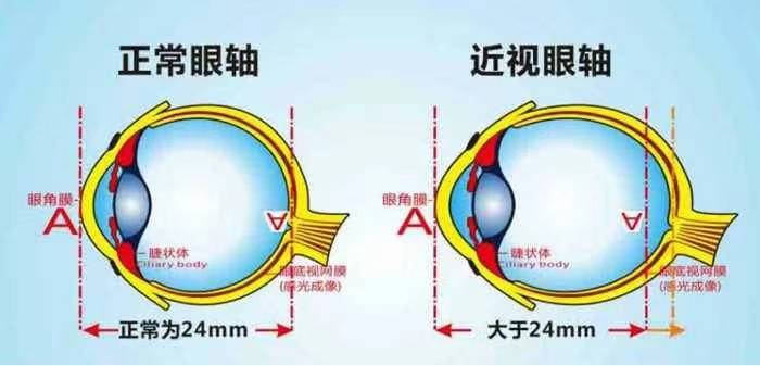 反转玩手机游戏软件_手机玩游戏不反转_反转玩手机游戏怎么玩