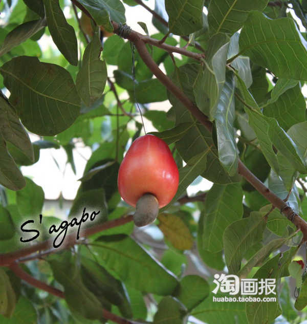 手机邪恶游戏木子_邪恶游戏是什么意思_邪恶木子手机游戏破解版
