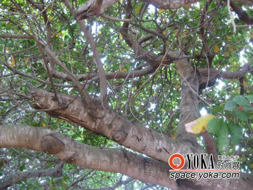 邪恶游戏是什么意思_手机邪恶游戏木子_邪恶木子手机游戏破解版