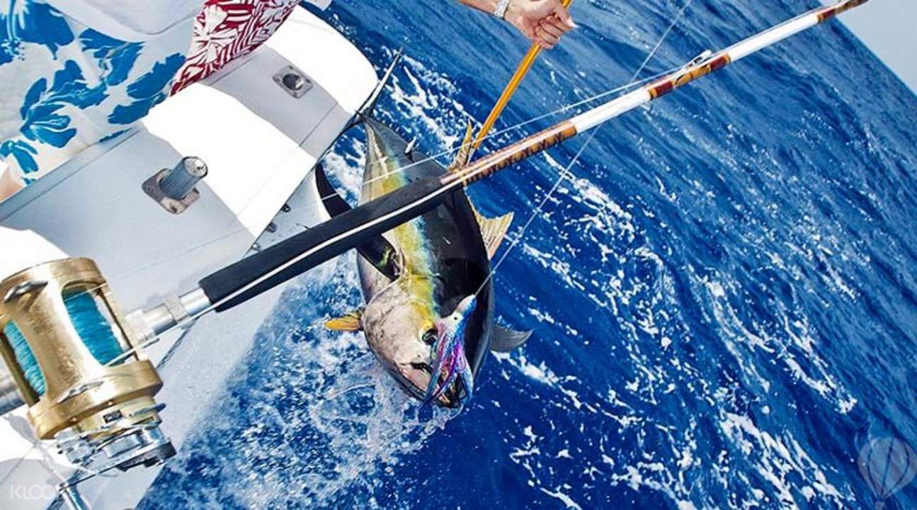 手机深海垂钓游戏_深海垂钓手机游戏怎么玩_深海垂钓安卓
