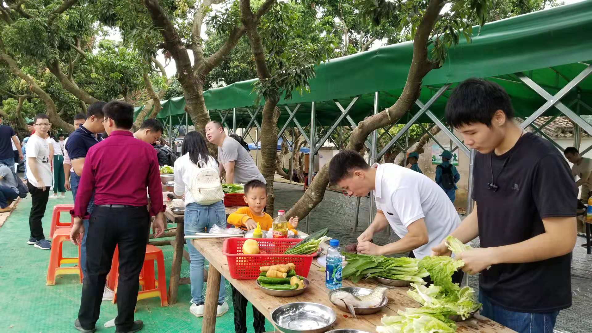 手机温馨农场游戏_温馨农场游戏红包大全_农场游戏合集