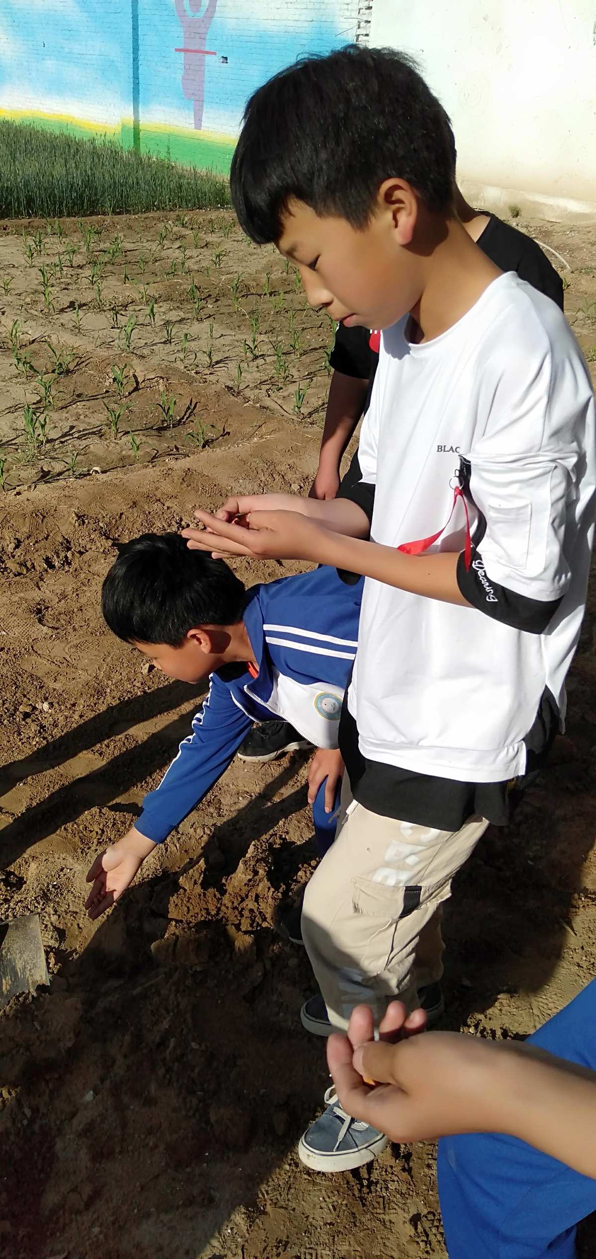战士农民手机游戏怎么玩_手机游戏五个农民战士_农民战士是谁