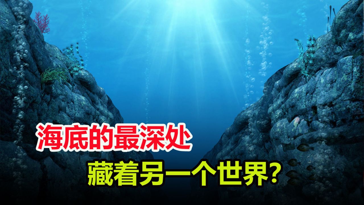 手机深海游戏-探险深海，手机游戏引领奇幻之旅