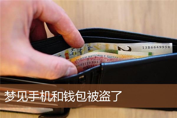 钱包被盗报警有用吗_钱包被盗时的心情描写_Tp钱包被盗