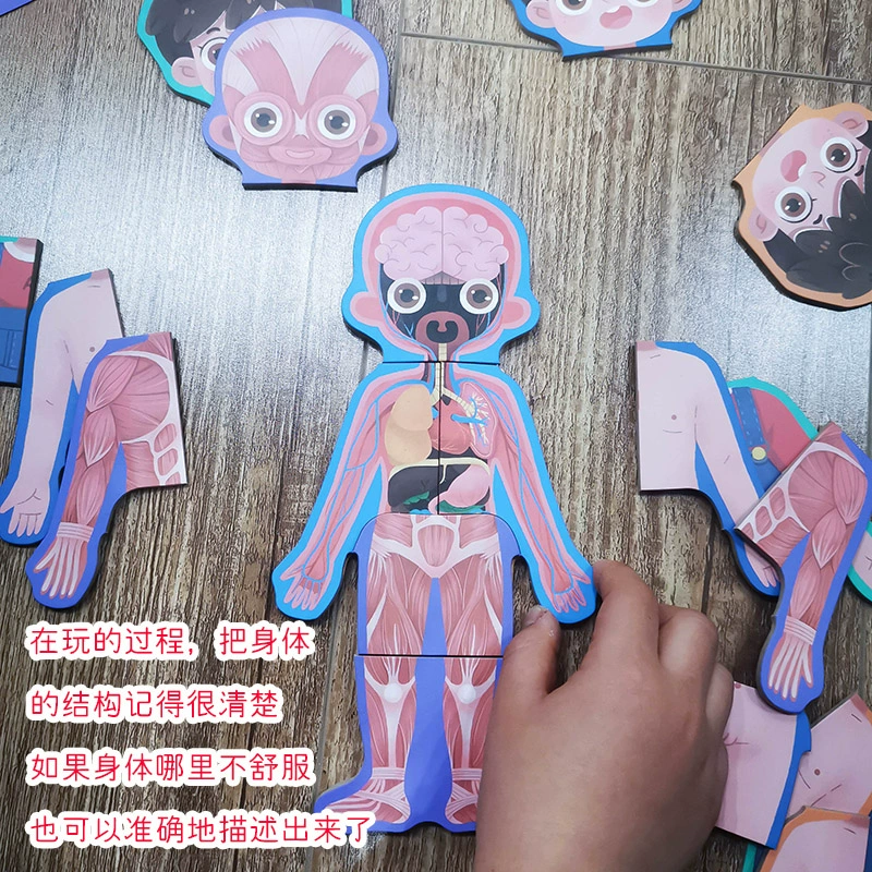手机游戏人体科普游戏_游戏科普人体手机怎么玩_人体模拟的游戏