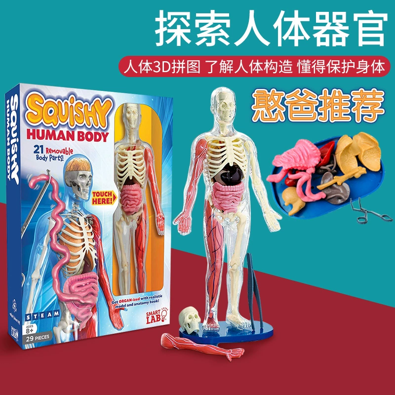 游戏科普人体手机怎么玩_人体模拟的游戏_手机游戏人体科普游戏