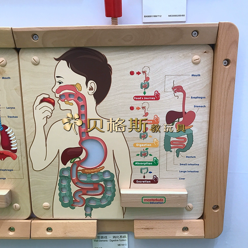 人体模拟的游戏_游戏科普人体手机怎么玩_手机游戏人体科普游戏