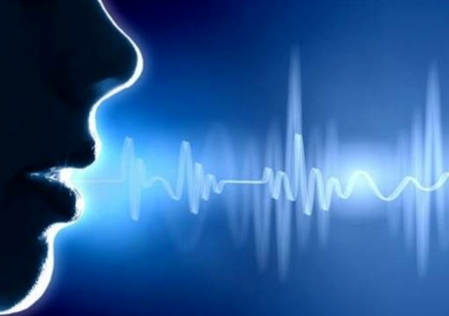语音沟通软件_手机游戏语音沟通特别卡_语音交互游戏