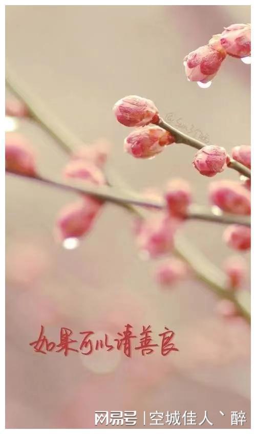 芙蕾德莉卡萌娘百科_芙蕾德莉卡身高_芙蕾德莉卡