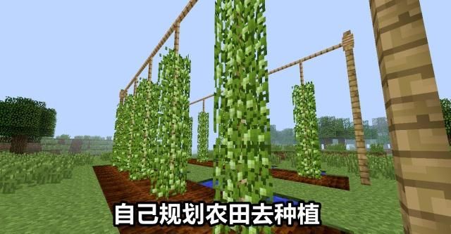 手机生存种植游戏_生存种植手机游戏大全_生存种植手机游戏破解版