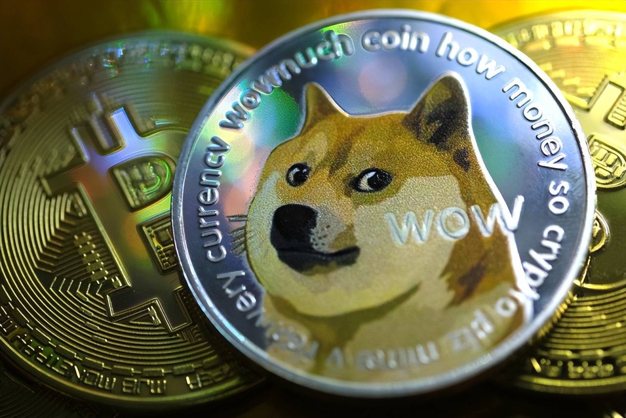 狗狗币转入冷钱包_TP钱包狗狗币怎么转到欧意_狗狗币钱包导出私钥
