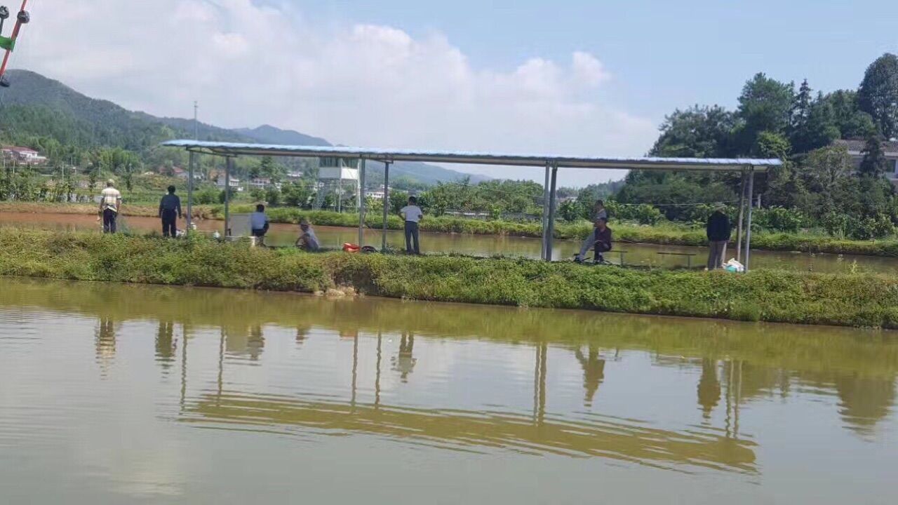 庄园游戏手游_庄园手机游戏推荐_手机游戏 庄园