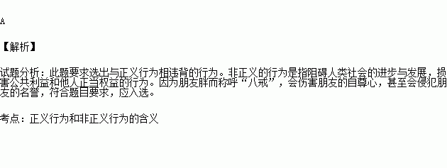 有川知里_知里童装_里知有花