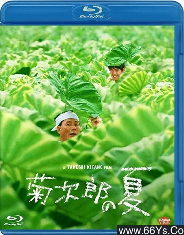 菊次郎的夏天在线观看完整版免费_菊次郎的夏天在线观看完整版免费_菊次郎的夏天在线观看完整版免费