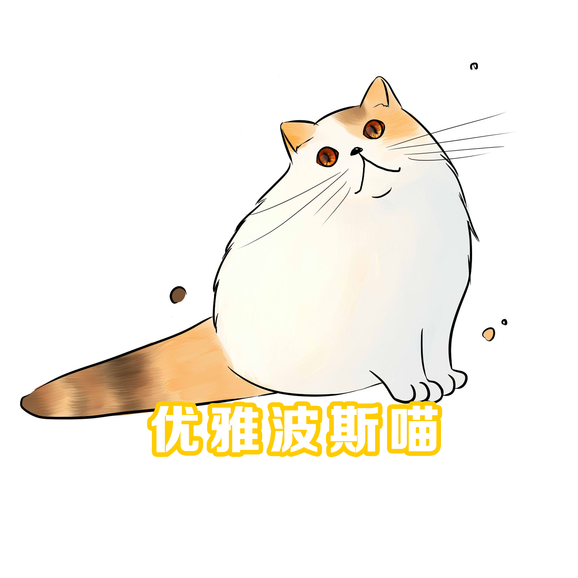 猫咪日常_猫咪日常视频_猫咪日常怎么喂养