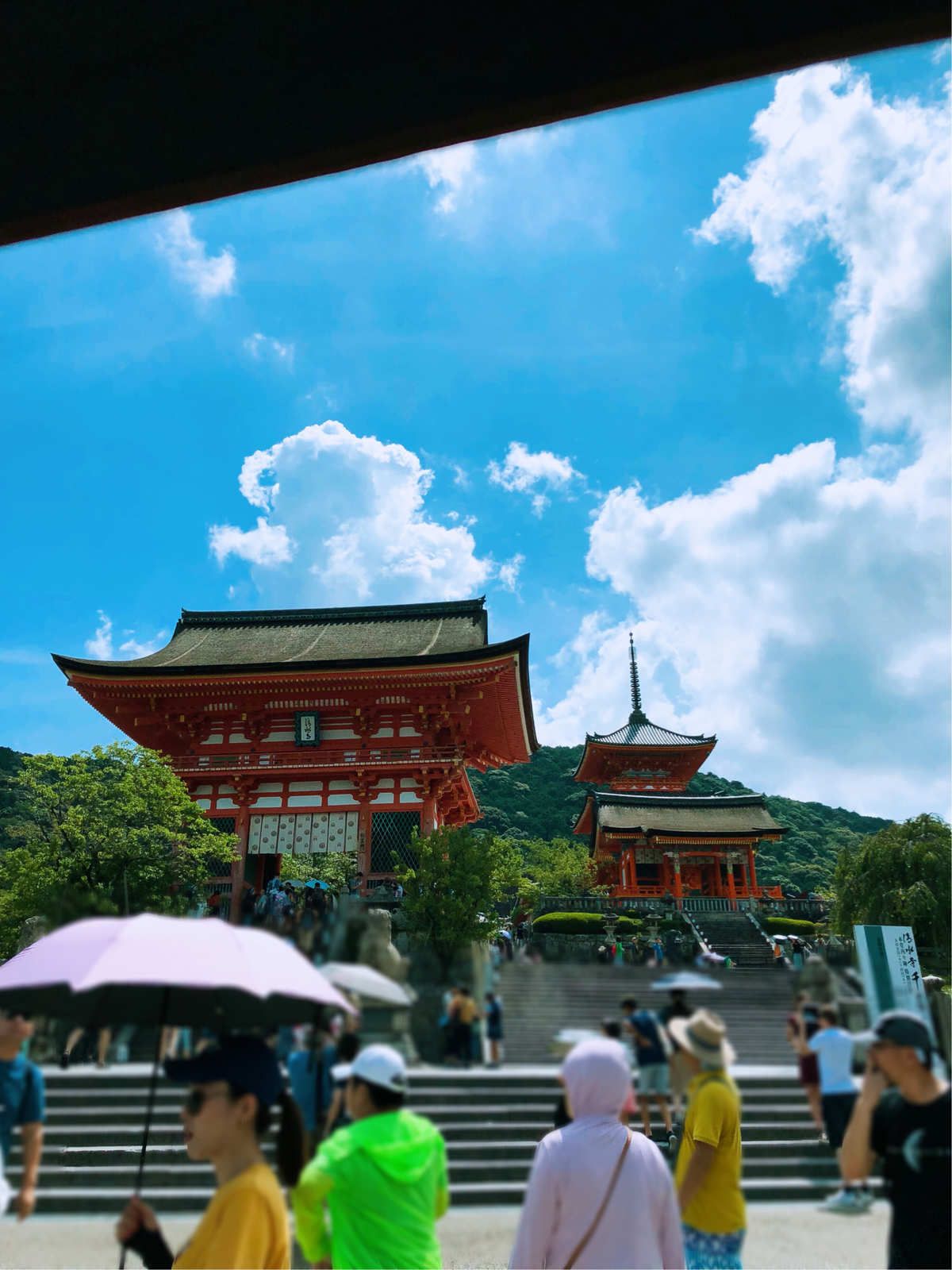 京都小住，探秘寺庙乐趣无穷