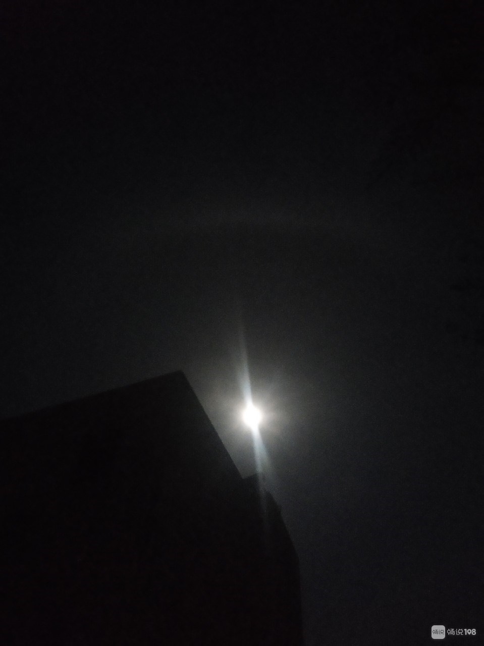 月光心慌慌杀戮_月光光心慌慌：杀戮_月光光心慌慌：杀戮
