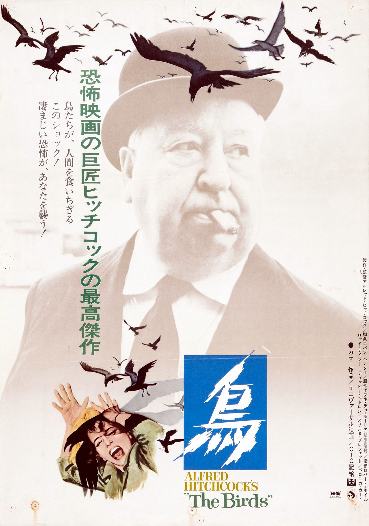 愤怒的小鸟2字幕_小鸟愤怒图片_小鸟愤怒的小鸟游戏