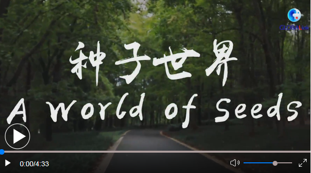 原初之种_原初之种_原初之种