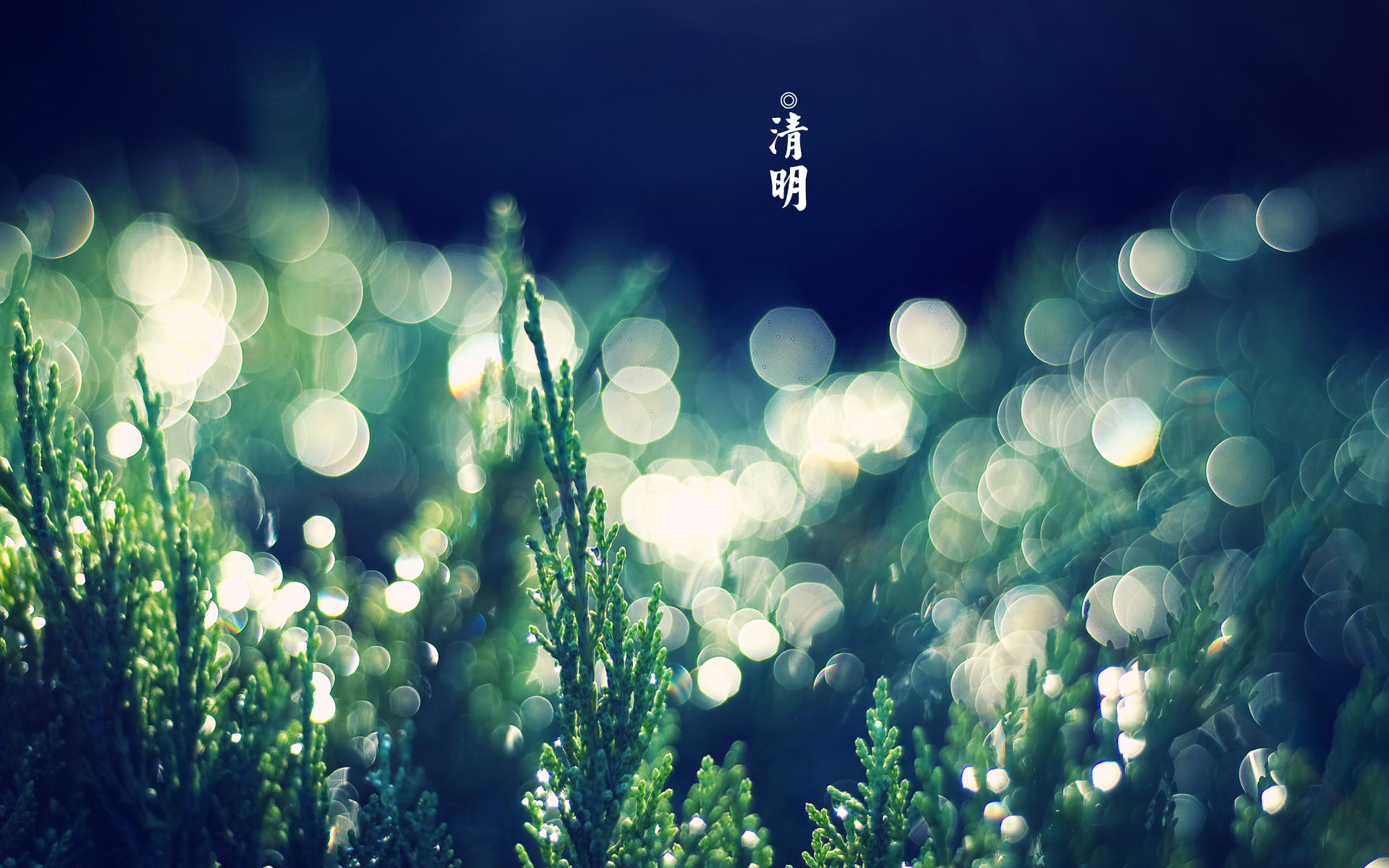 2022年北京冬奥会直播_2022年节气_2022年冬奥会的吉祥物