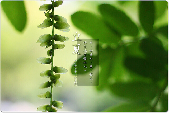 2022年冬奥会的吉祥物_2022年节气_2022年北京冬奥会直播