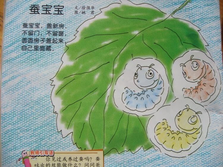 蚕宝宝农场游戏_蚕宝宝乐园_手机游戏蚕宝宝