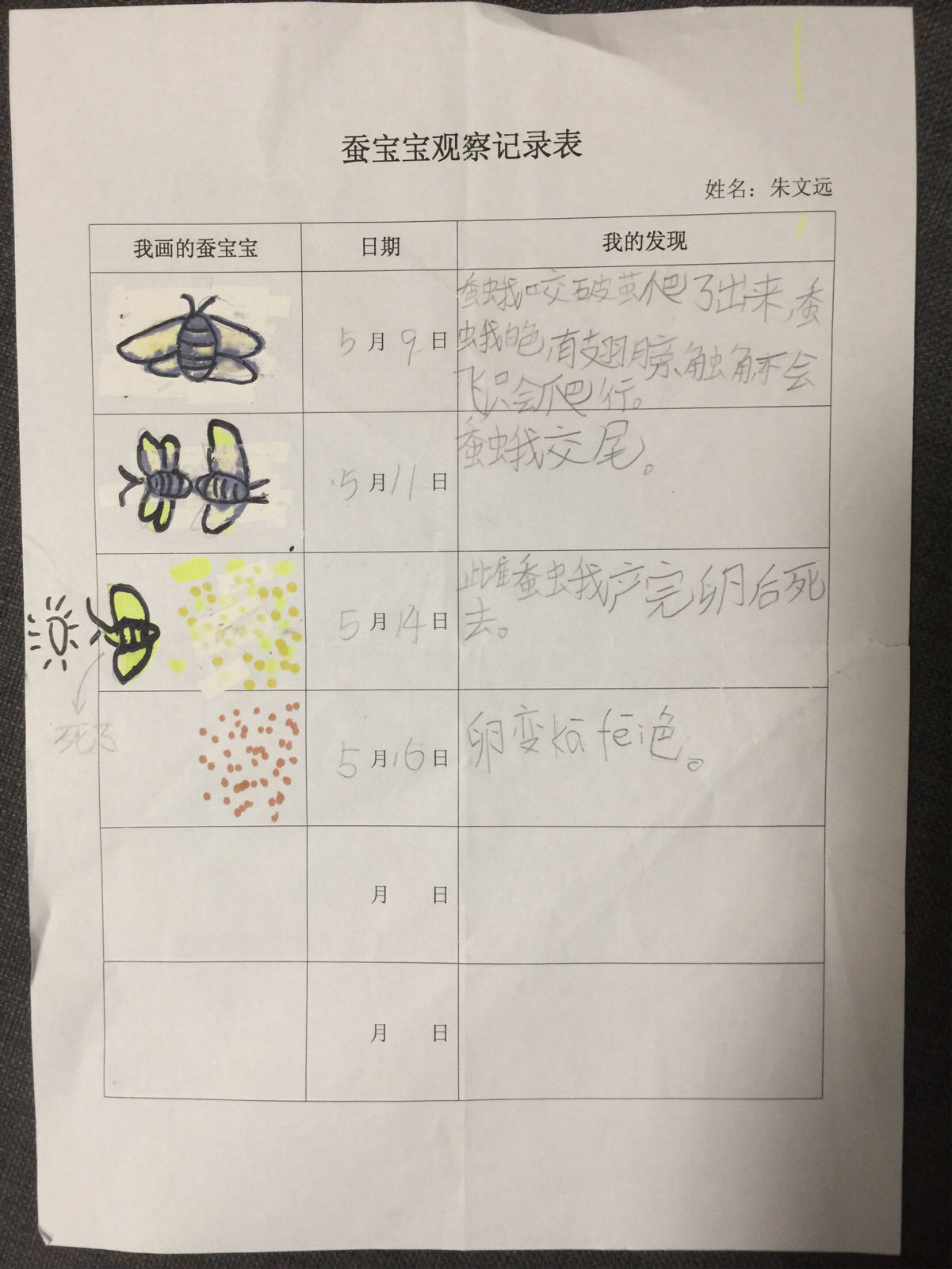 蚕宝宝乐园_蚕宝宝农场游戏_手机游戏蚕宝宝