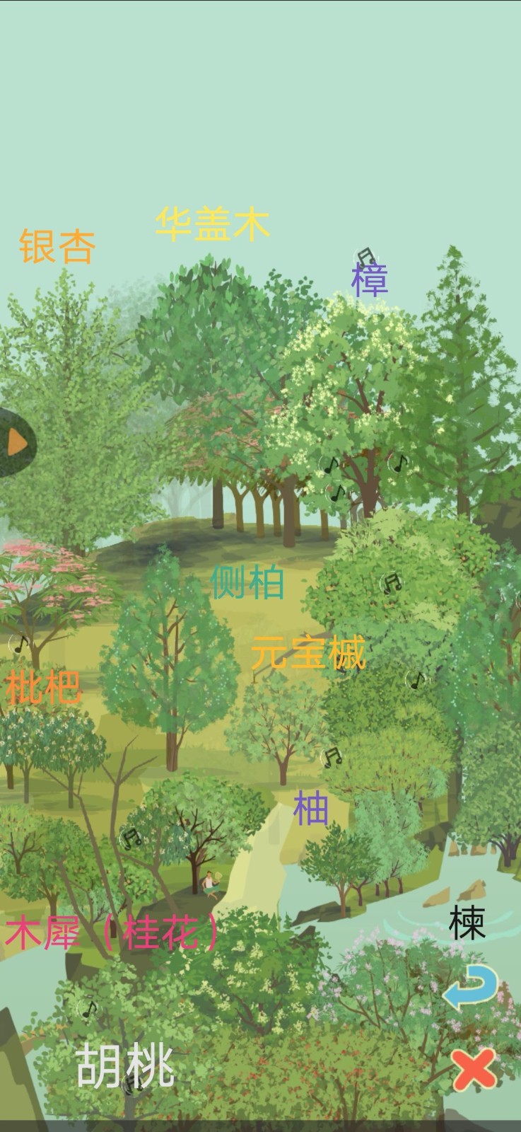 植树小游戏_手机游戏植树_植树赚钱游戏
