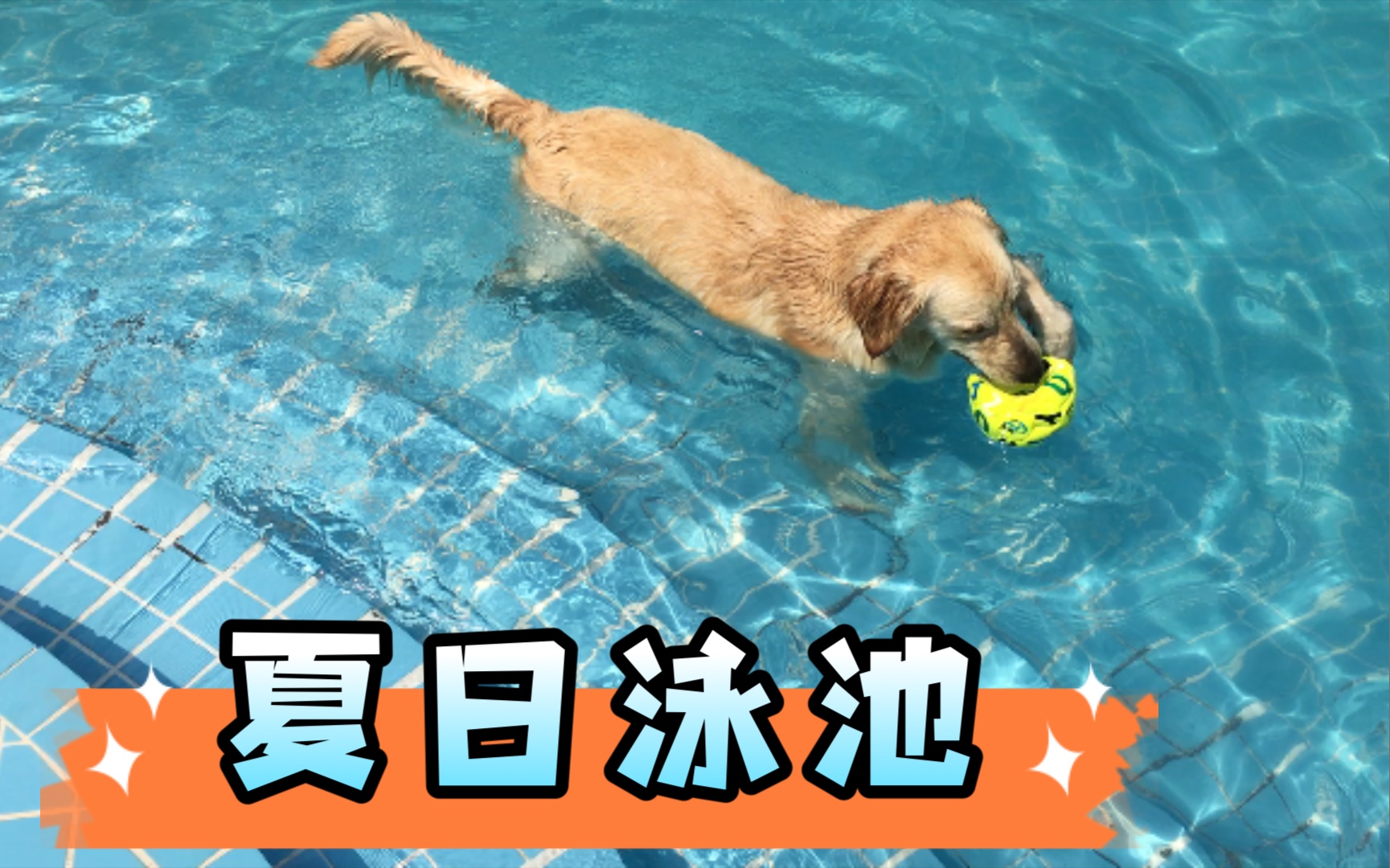 squidgame手机游戏_手机喝水游戏_手机水上游戏