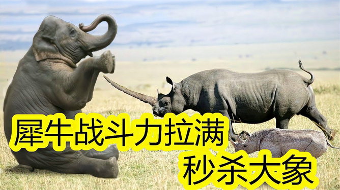 手机游戏外太空打犀牛地图_手机游戏外太空打犀牛地图_手机游戏外太空打犀牛地图