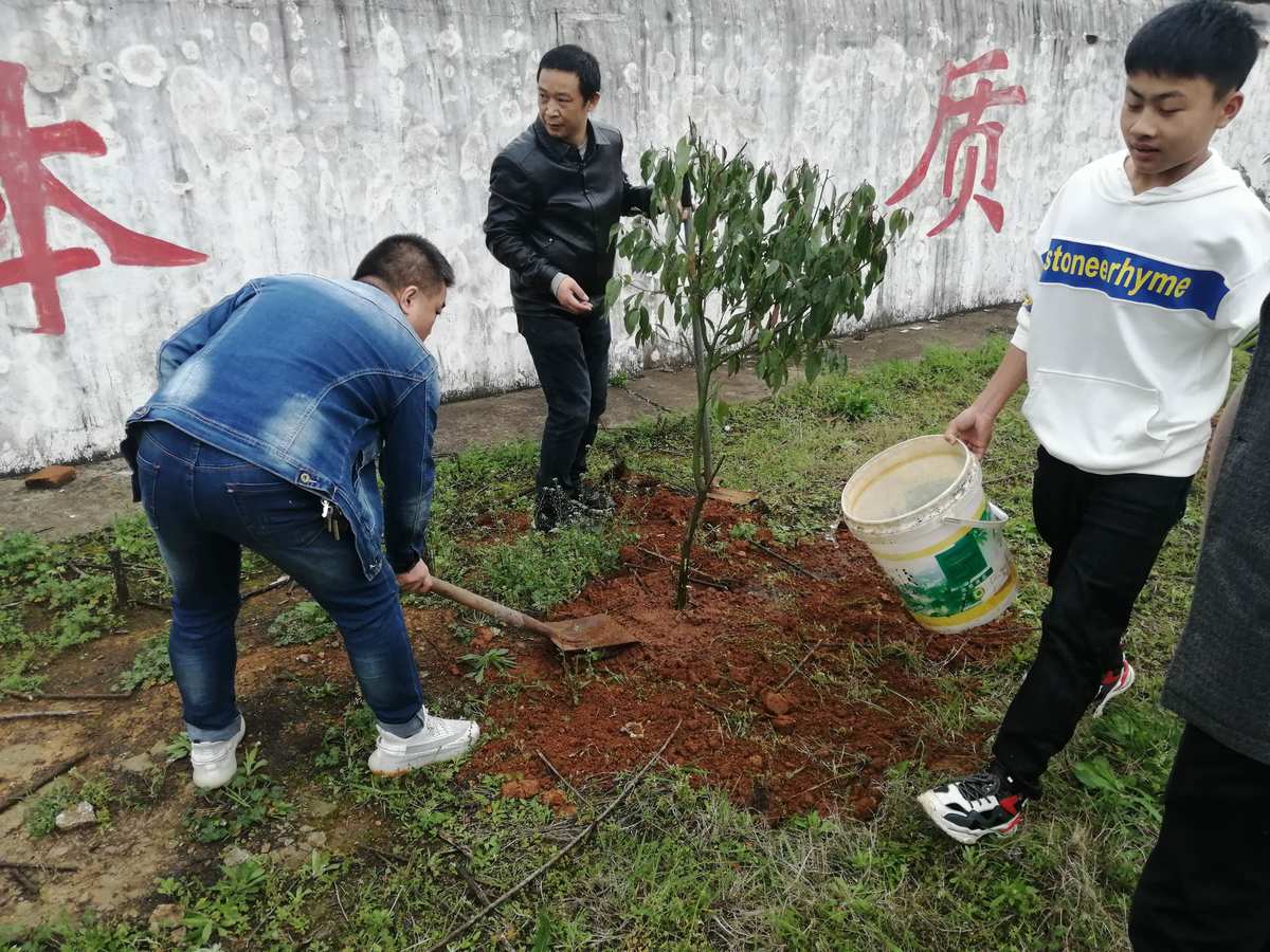 植树节活动小标题_植树标题活动怎么写_植树活动标题