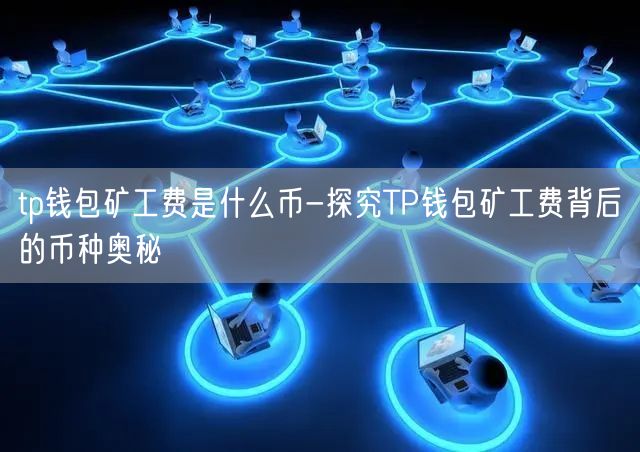 im钱包矿工费是什么意思_im钱包矿工费一笔一千_钱包bnb矿工费