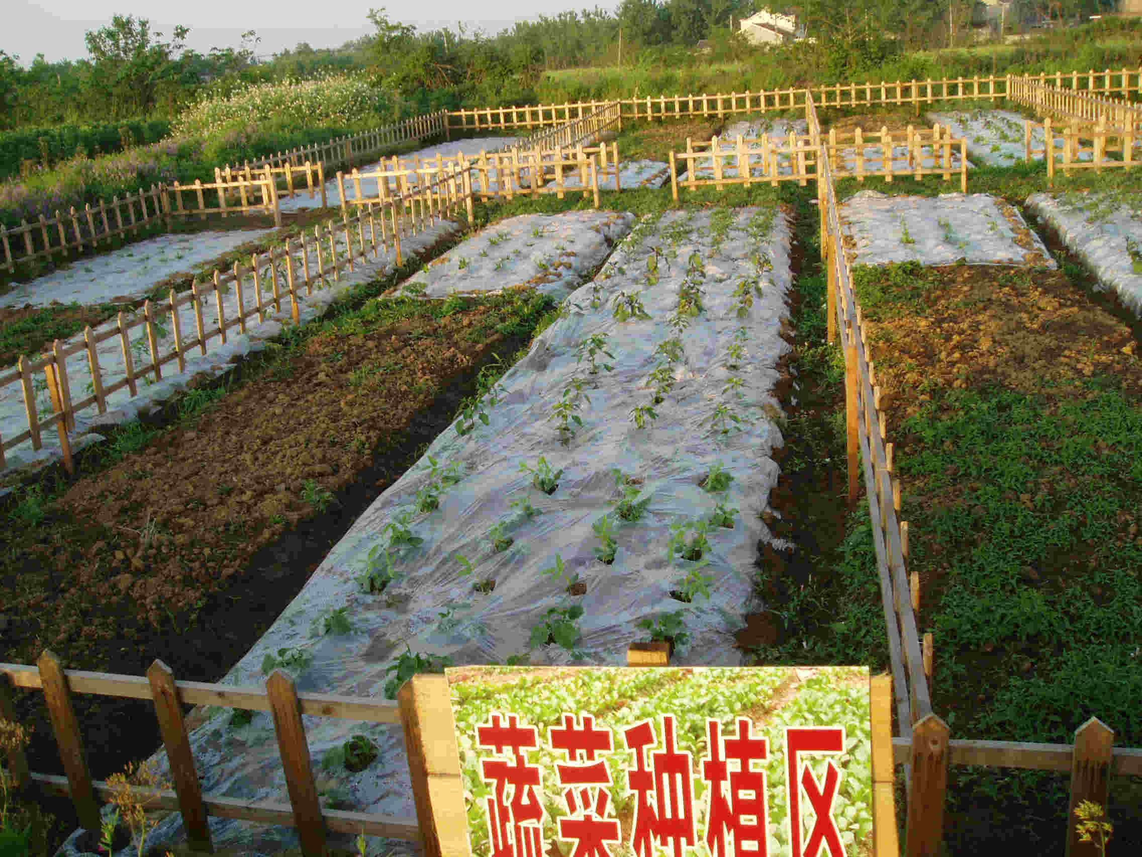 制作农场手机游戏_农场制作手机游戏大全_农场制作手机游戏软件