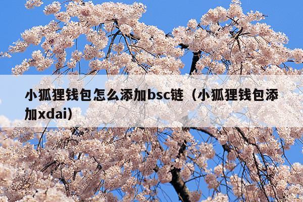 小狐狸钱包添加比特币_小狐狸钱包添加ok链_小狐狸钱包添加币安链usdt