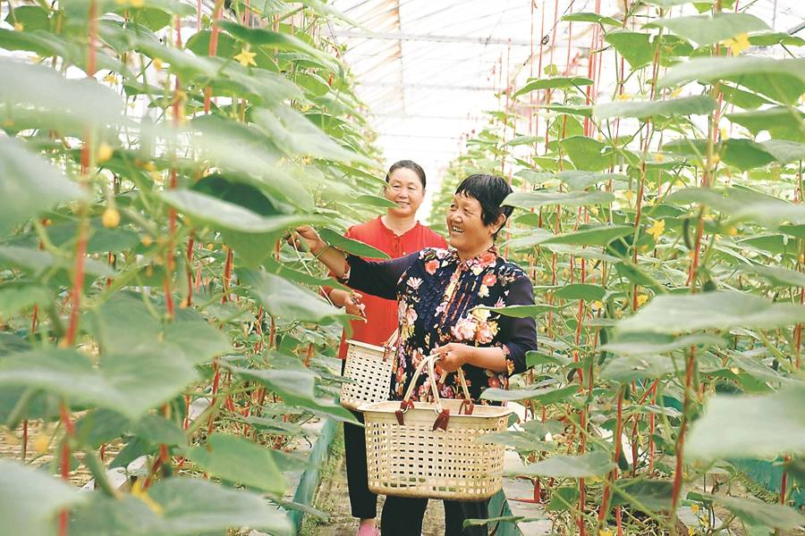 二十一点起源哪个国家_国家起源的三种理论_黄瓜起源于哪个国家