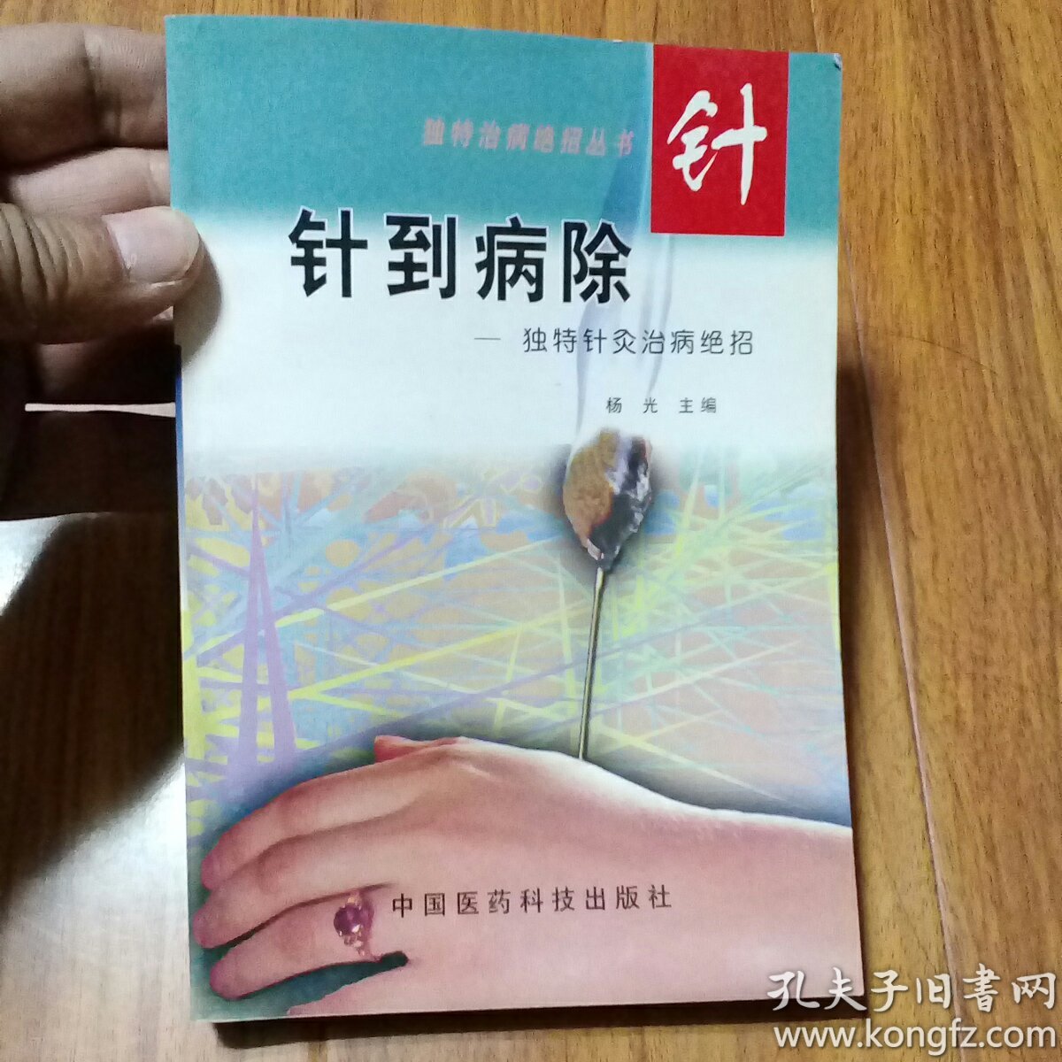 针城九尾_辉针城_针城看
