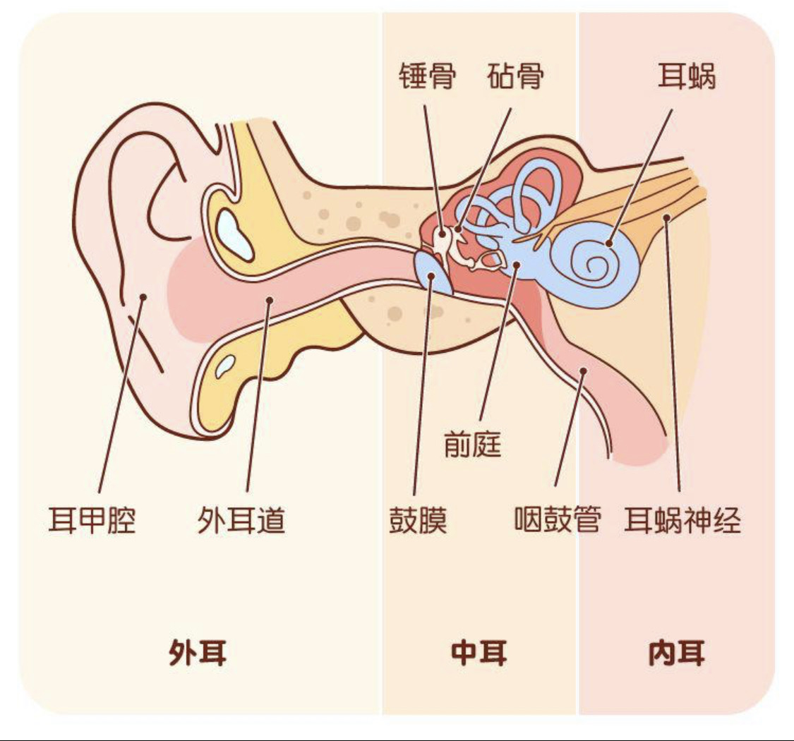 3月3日爱耳日_3月3日爱耳日_3月3日爱耳日