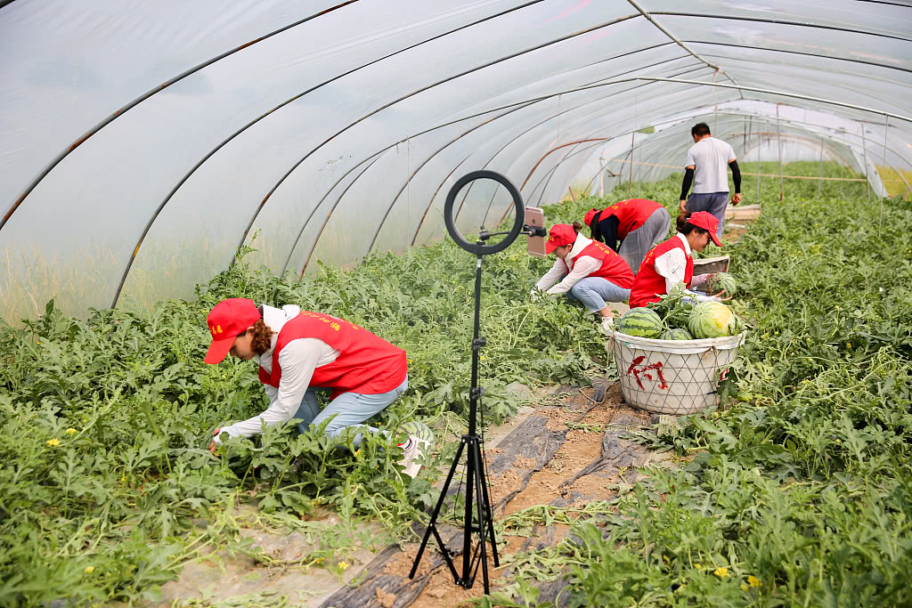 手机西瓜游戏直播_西瓜直播游戏收入怎么样_西瓜直播手机游戏怎么玩