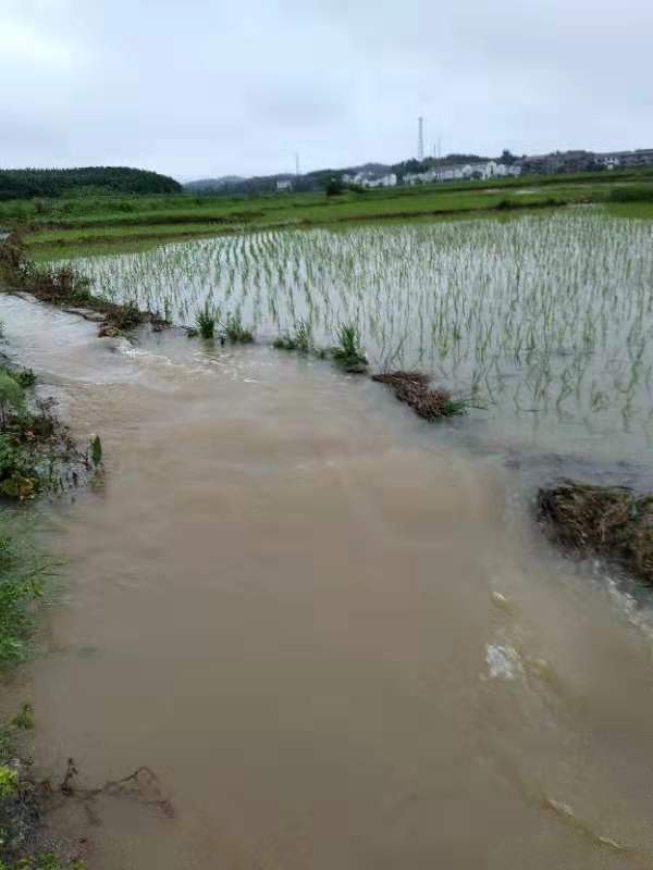 生存模式下载_生存模式的游戏_手机游戏生存模式