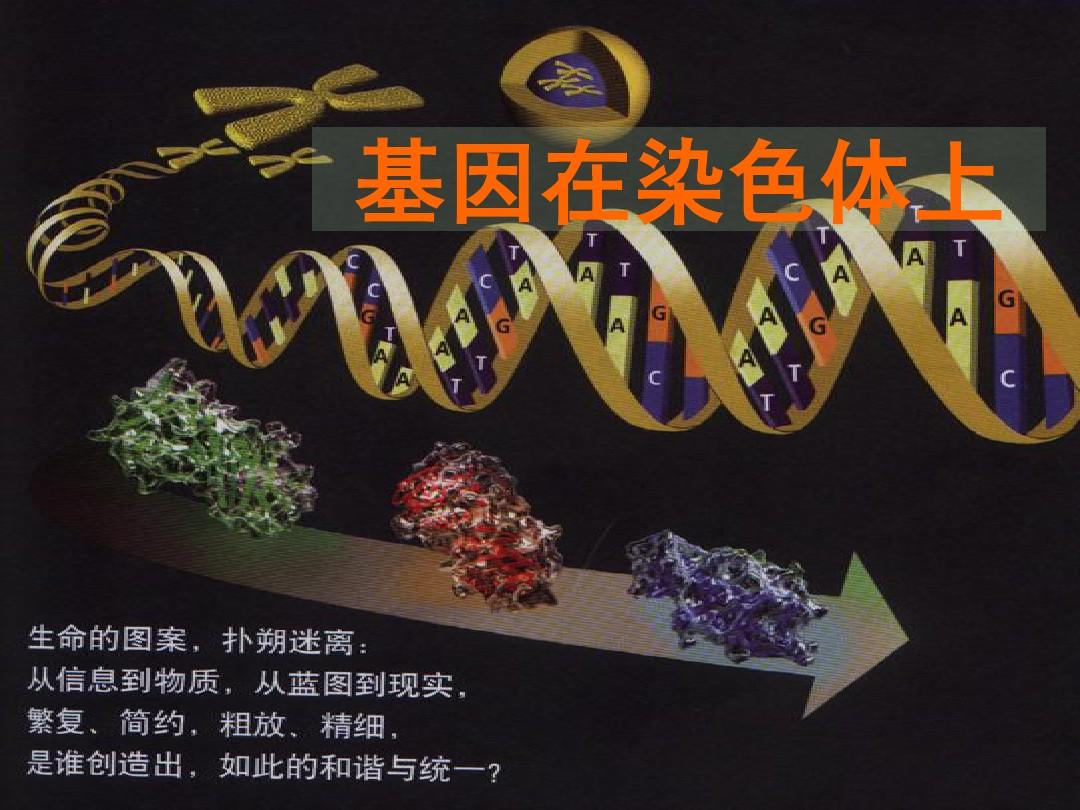 泰坦生物0.42下载_泰坦生物mod怎么玩_手机上玩的泰坦生物游戏