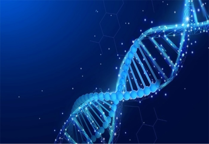 泰坦生物mod怎么玩_手机上玩的泰坦生物游戏_泰坦生物0.42下载