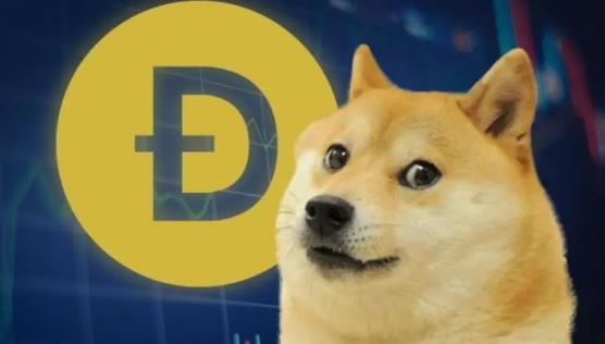 钱包买哪种好_钱包买币和交易所买币的区别_tp钱包买dog
