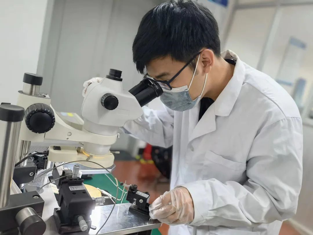 争夺战下载书包网_争夺游戏怎么玩_手机软件争夺战游戏
