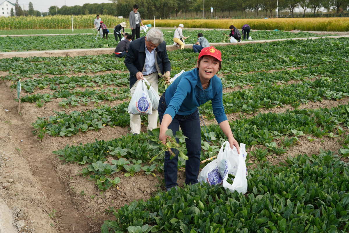 种田手机版游戏_种田版手机游戏推荐_种田版手机游戏大全