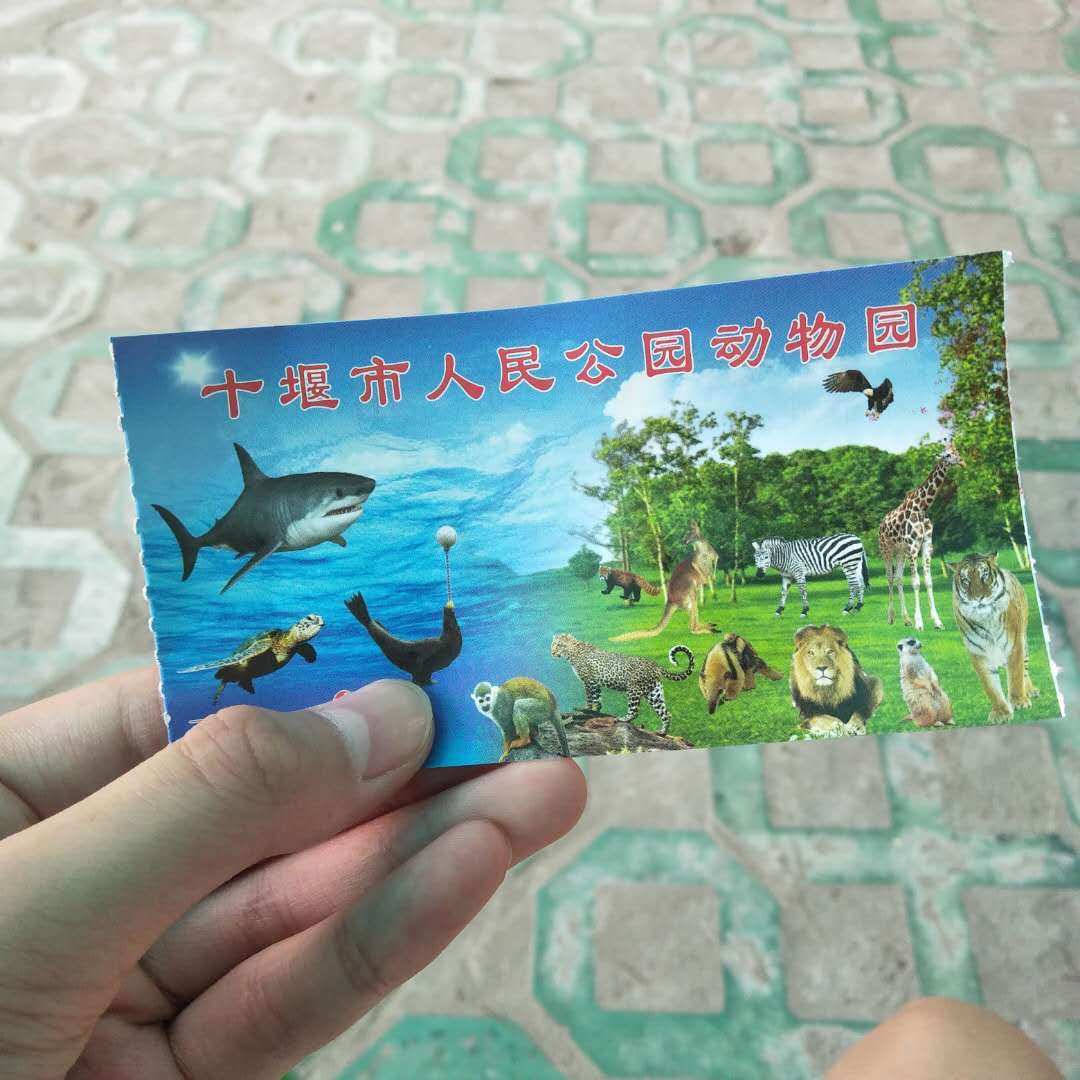 建造动物园的游戏叫什么_建造动物园手机游戏叫什么_手机游戏动物园建造
