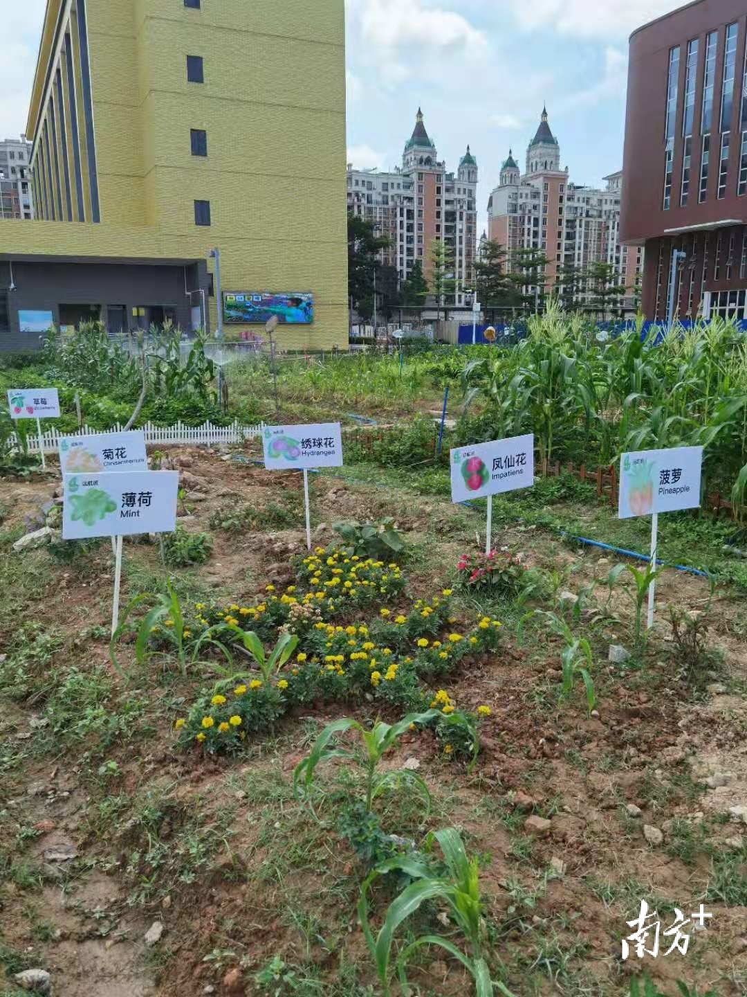 游戏种田建设手机app_游戏种田_种田建设游戏手机游戏